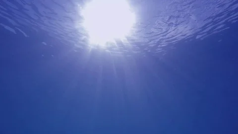Underwater blue ocean Video stock 122158481