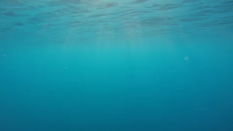 Underwater blue ocean Stock Footage 125856926