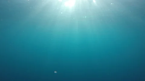 Underwater blue ocean Stock Footage 125856945