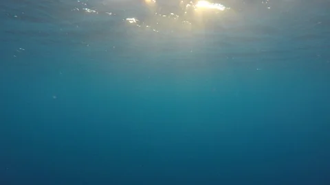 Underwater blue ocean Stock Footage 125884347