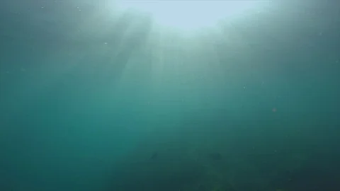Underwater blue ocean Video stock 125921949