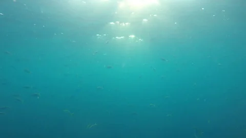 Underwater blue ocean Video stock 126688792