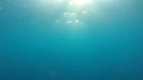 Underwater blue ocean Video stock 127895986