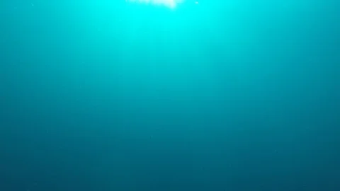 Underwater blue ocean Stock Footage 128996618