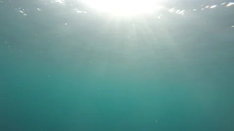 Underwater blue ocean Video stock 132020830