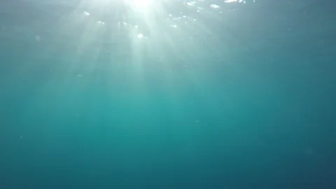Underwater blue ocean Video stock 132248331