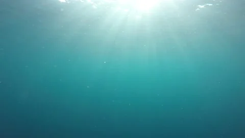Underwater blue ocean Video stock 132248347