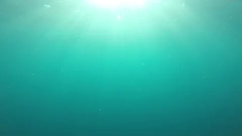 Underwater blue ocean Video stock 132337278