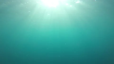 Underwater blue ocean Video stock 132372074