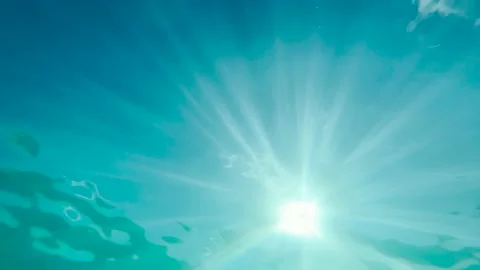 Underwater blue ocean sun view Stock Footage 231365486