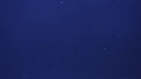 Underwater blue sea background with bubbles Stock Footage 280437667