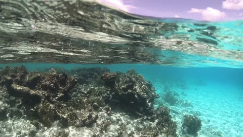 Underwater on Bonaire Stock Footage 93323802