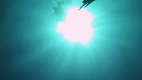 Underwater bottom look up to the surface view to ripple bubble sea salt ocean bl Stock Footage 252953461