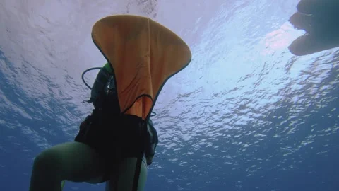 Underwater bottom to top still view of a scuba diver instructor showing demonstr Stock Footage 260238971
