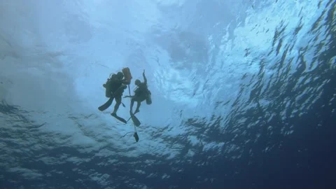 Underwater bottom to top still view of two scuba divers an instructor and studen Stock Footage 260239013