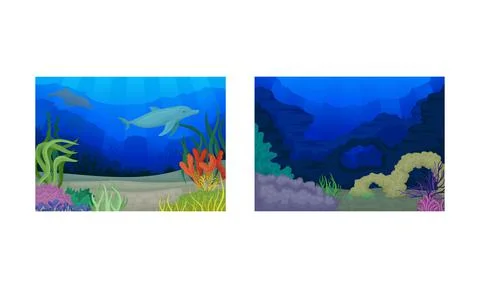 Underwater Bottom View with Algae and Sea Weeds Vector Set. イラスト素材