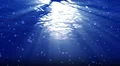 Underwater Bubble Big LM01 Loop 60 seconds HD Footage