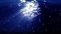 Underwater Bubble Big LM03 Loop 60 seconds 4k or 4k+ Resolution
