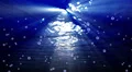 Underwater Bubble Big LM09 Loop 60 seconds HD Footage