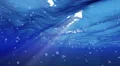 Underwater Bubble Big LM12 Loop 60 seconds HD Footage
