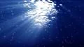 Underwater Bubble Big LM14 Loop 60 seconds 4k or 4k+ Resolution