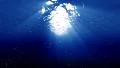 Underwater Bubble M LM04 Loop 60 seconds HD Footage