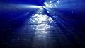Underwater Bubble M LM08 Loop 60 seconds 4k or 4k+ Resolution