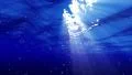 Underwater Bubble M LM11 Loop 60 seconds 4k or 4k+ Resolution