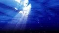 Underwater Bubble M LM13 Loop 60 seconds 4k or 4k+ Resolution