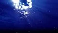 Underwater Bubble M LM14 Loop 60 seconds 4k or 4k+ Resolution