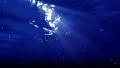 Underwater Bubble M LM14 Loop 60 seconds HD Footage