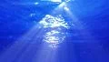Underwater Bubble M LM15 Loop 60 seconds 4k or 4k+ Resolution