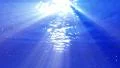 Underwater Bubble M LM15 Loop 60 seconds HD Footage