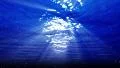 Underwater Bubble M LM16 Loop 60 seconds HD Footage