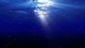 Underwater Bubble M LM17 Loop 60 seconds HD Footage
