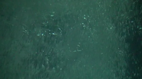 Underwater bubble on the ocean Video stock 39778412