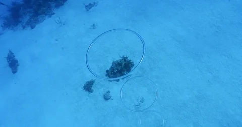 Underwater bubble rings 4K Stock Footage 107954985