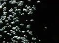Underwater Bubble Small 01 : VJ Loop Footage