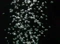 Underwater Bubble Small 02 : VJ Loop in slow motion Footage