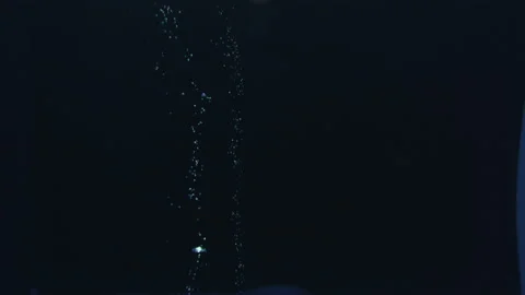 Underwater bubbles 05 Vídeo Stock 91356007