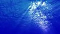 Underwater Bubbles 40 seconds LM03 Loop Sunlight 4k or 4k+ Resolution