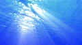 Underwater Bubbles 40 seconds LM05 Loop Sunlight 4k or 4k+ Resolution