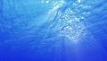 Underwater Bubbles 40 seconds LM07 Loop Sunlight 4k or 4k+ Resolution