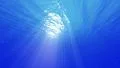 Underwater Bubbles 40 seconds LM09 Loop Sunlight 4k or 4k+ Resolution