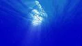 Underwater Bubbles 40 seconds LM10 Loop Sunlight 4k or 4k+ Resolution
