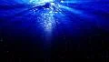 Underwater Bubbles 40 seconds LM14 Loop Sunlight 4k or 4k+ Resolution
