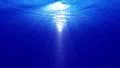 Underwater Bubbles 40 seconds LM16 Loop Sunlight HD Footage