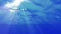 Underwater Bubbles 40 seconds LM18 Loop Sunlight 4k or 4k+ Resolution