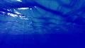 Underwater Bubbles 40 seconds LM19 Loop Sunlight 4k or 4k+ Resolution