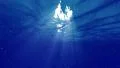Underwater Bubbles 40 seconds LM20 Loop Sunlight 4k or 4k+ Resolution